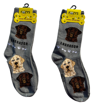 FOOZY'S Adult Socks - Labrador, Set of 2