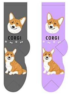 FOOZY'S Adult Socks - Corgi, Set of 2