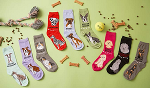 FOOZY'S Adult Socks - Golden Doodle Set of 2