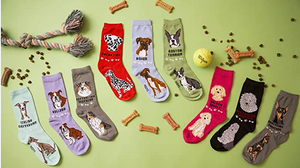 FOOZY'S Adult Socks - Golden Doodle Set of 2